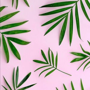 Meet your Posher, Justyna